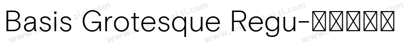 Basis Grotesque Regu字体转换